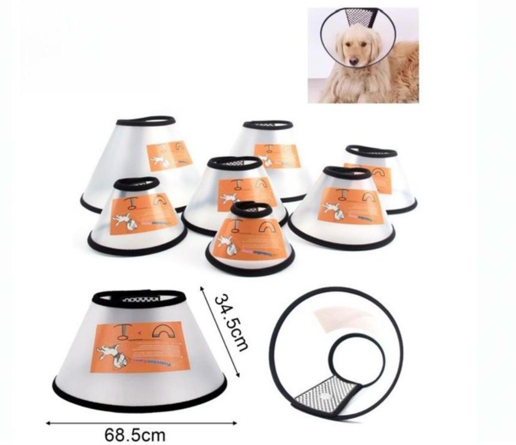 Collar Isabelino para perro y gato