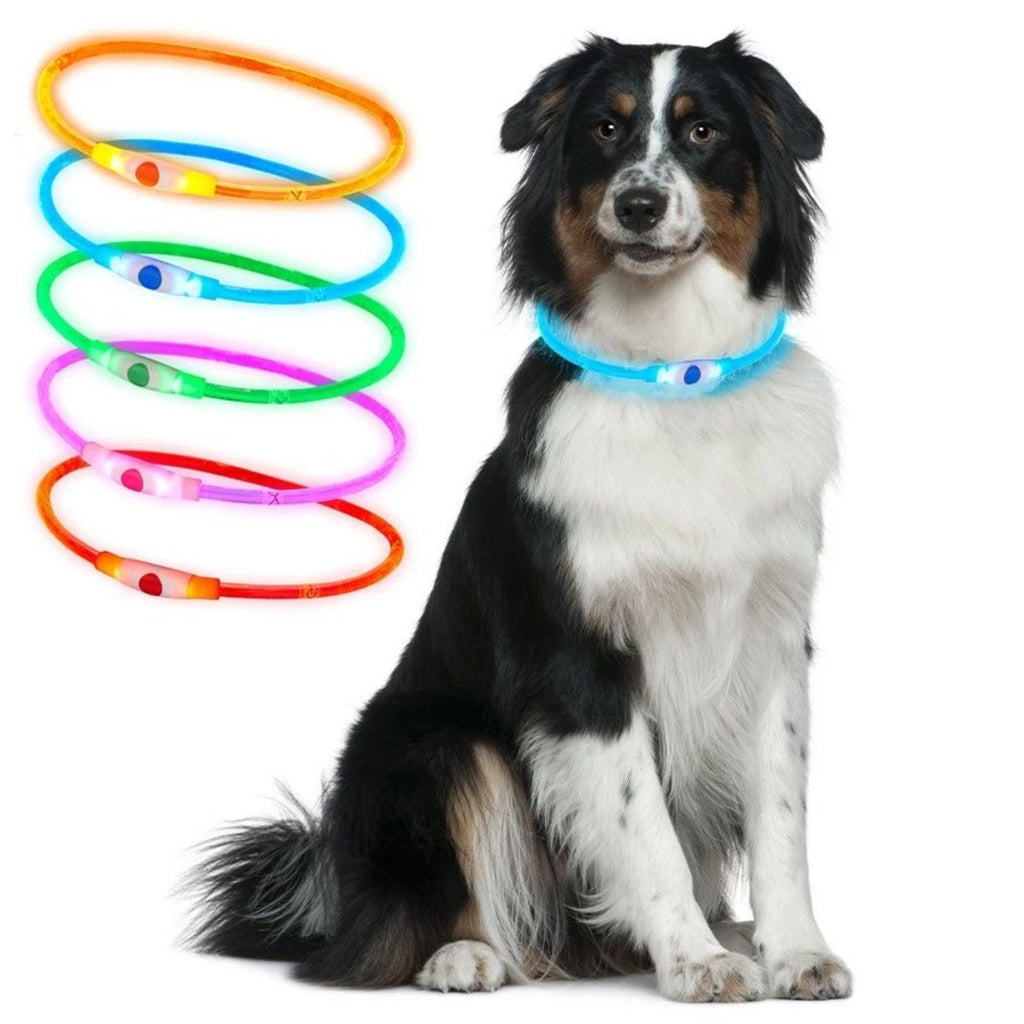 Collar con luz led recargable para perro 70cm