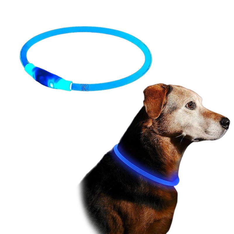Collar con luz led recargable para perro 55cm