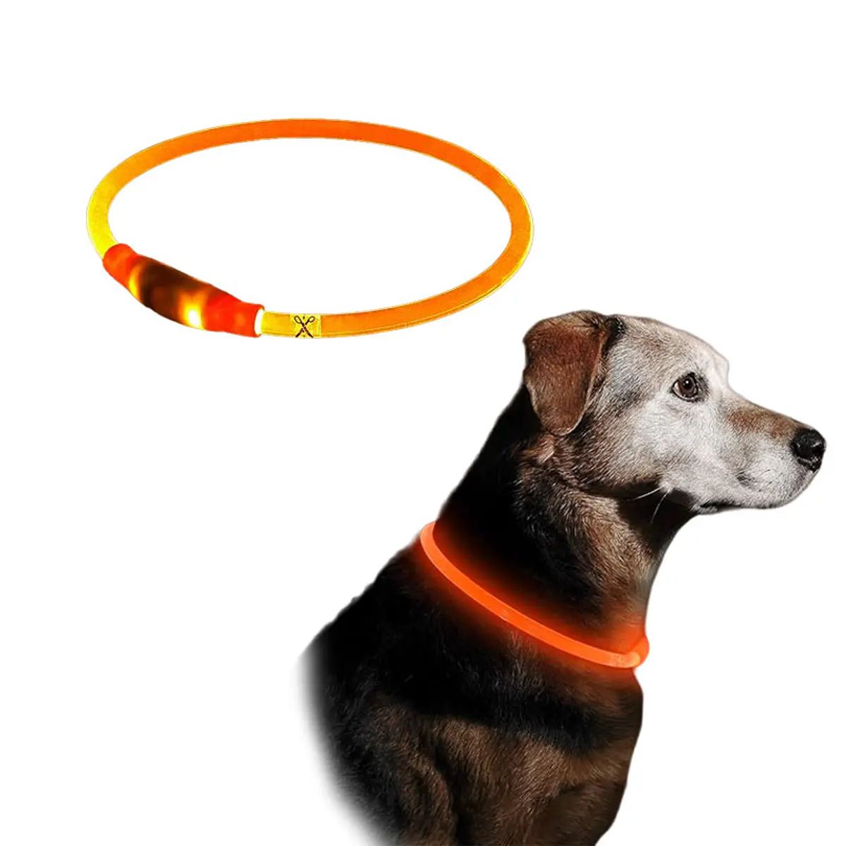 Collar con luz led recargable para perro 55cm