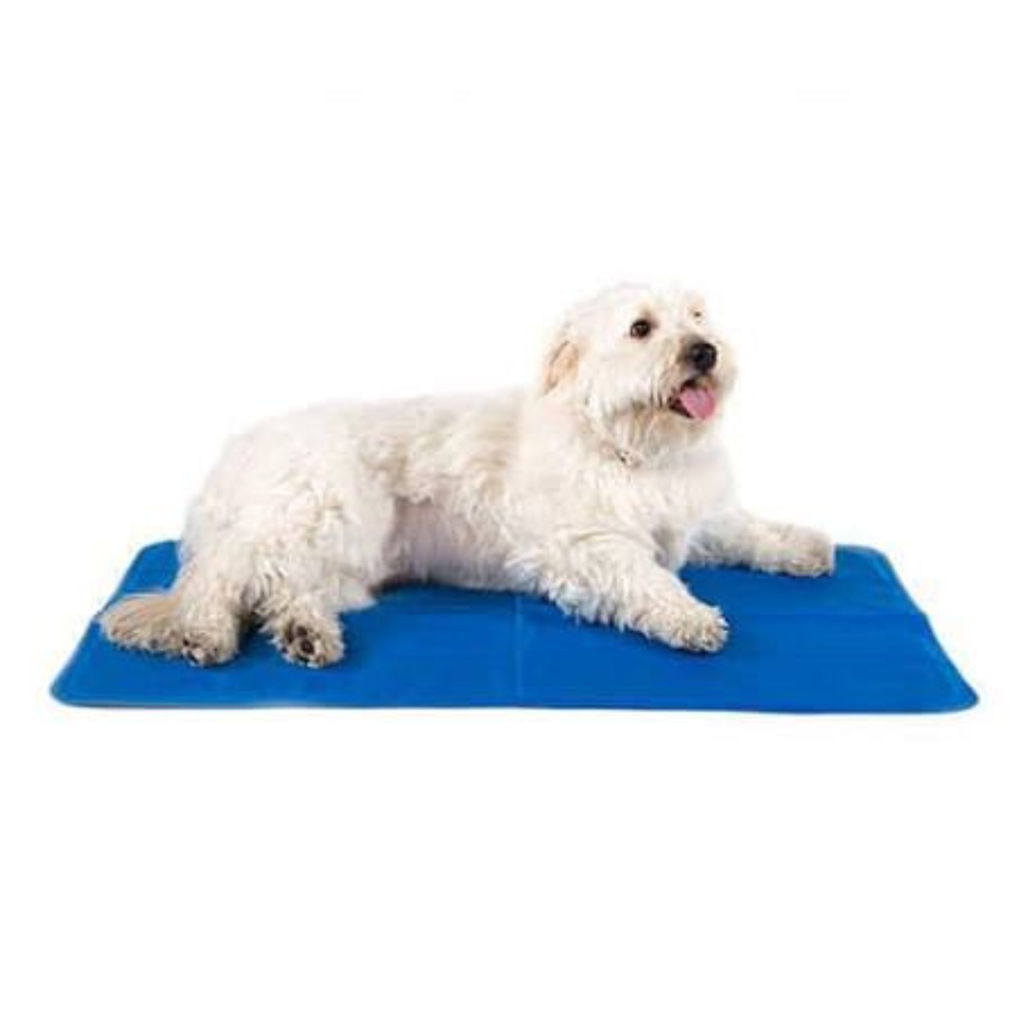 Manta Refrescante para perro y gato