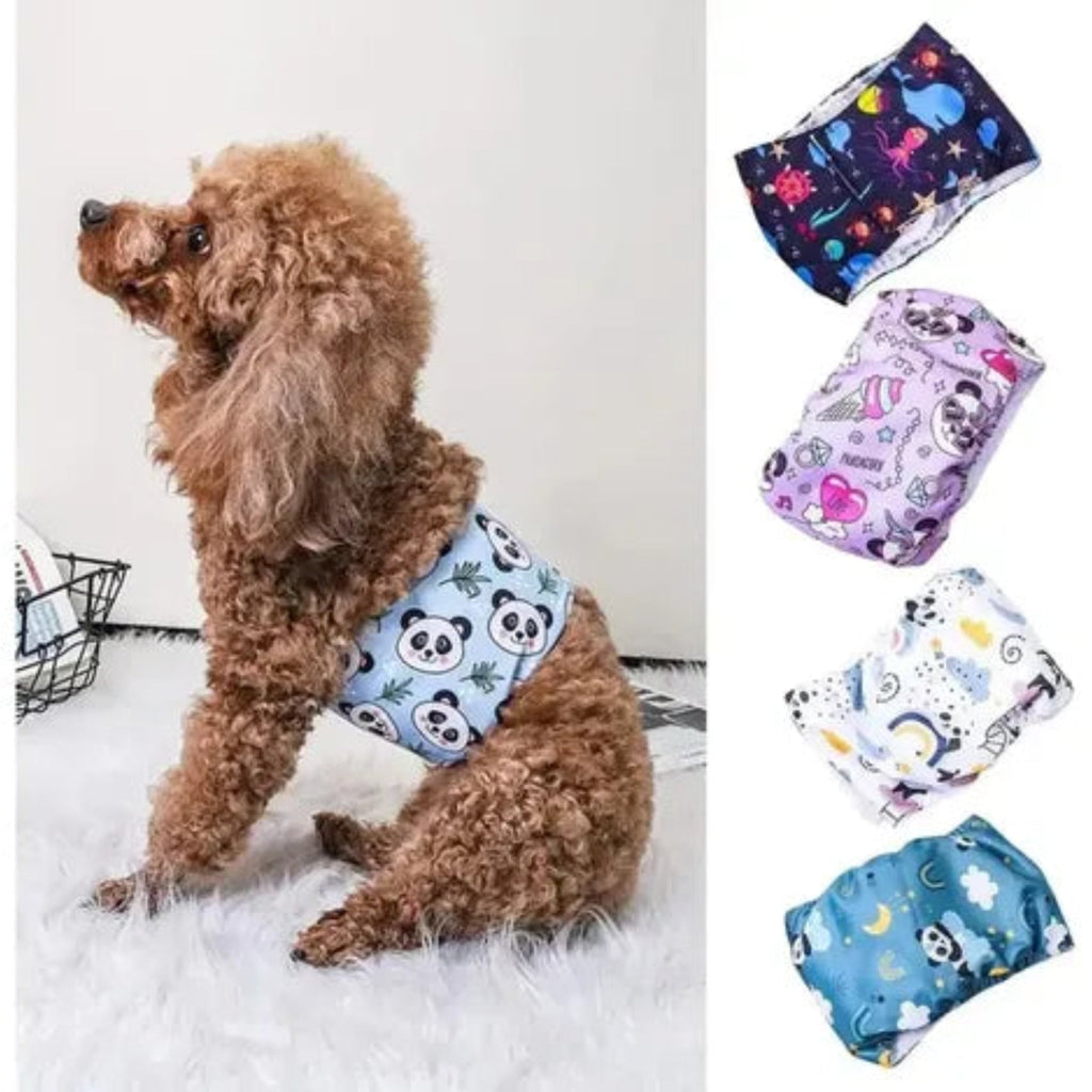 Pañal reutilizable para perro