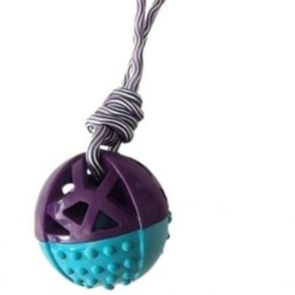 Pelota Texturizada con Cuerda para Perros