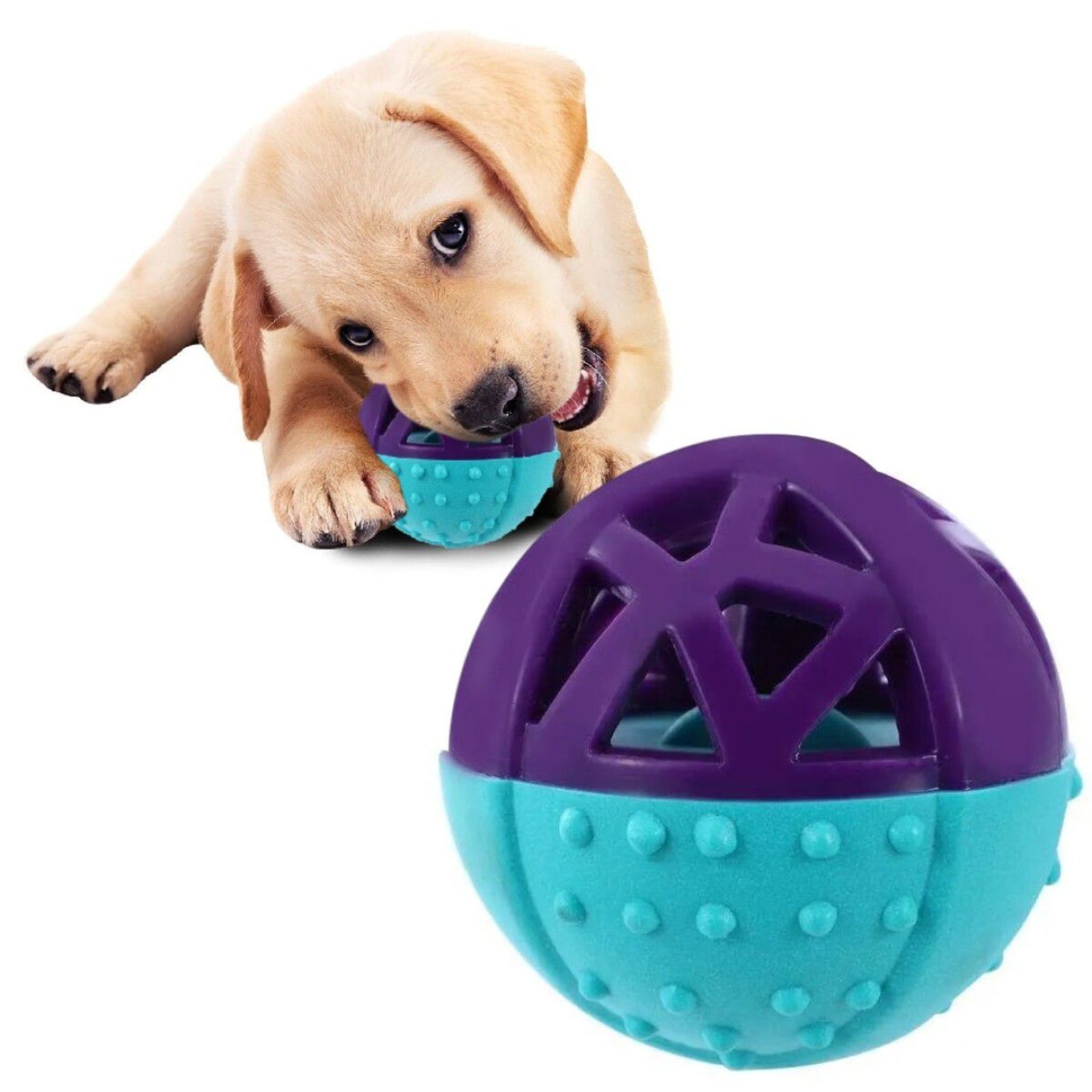 Pelota Texturizada con Cuerda para Perros