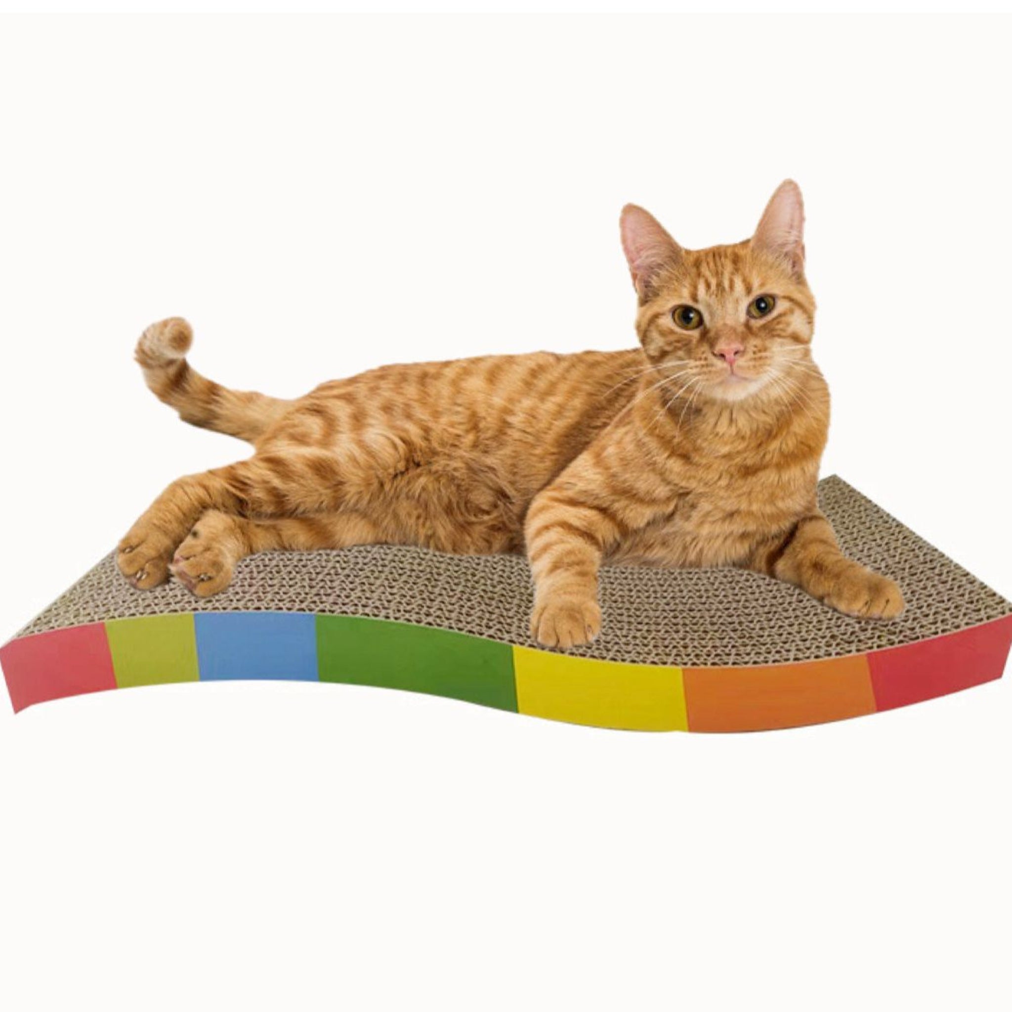 Rascador Carton ondulado para gato