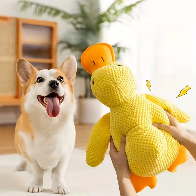 Pato calmante para perros