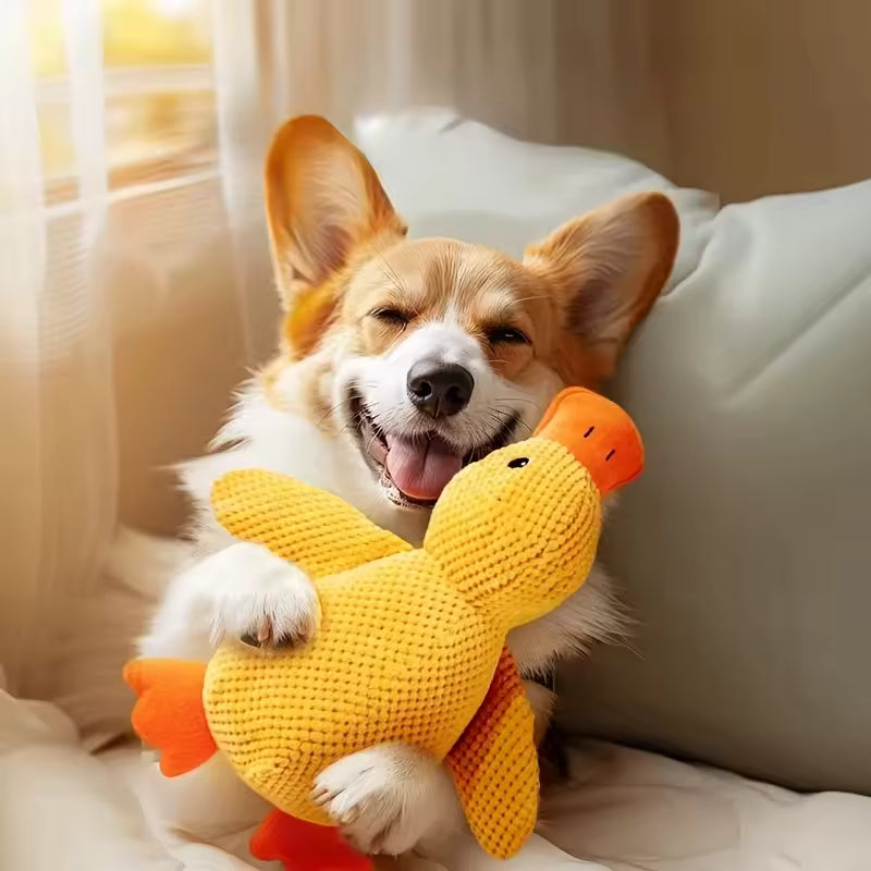 Pato calmante para perros