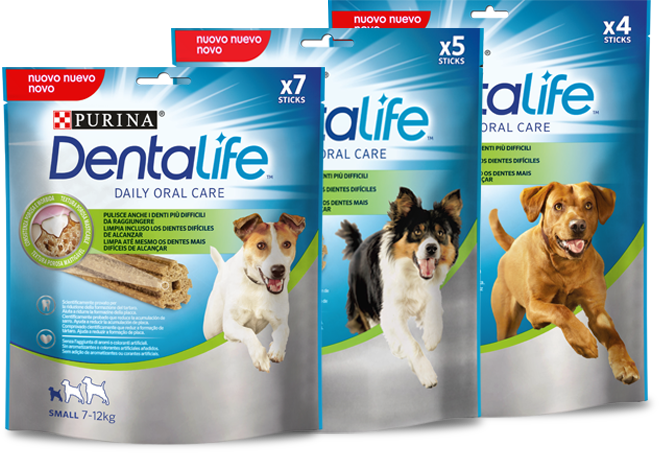 Dental Life Purina